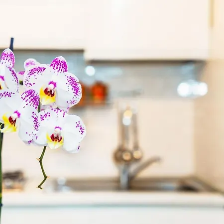 Downtown Apartman Velence